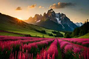 un hermosa campo de rosado flores y montañas a puesta de sol. generado por ai foto