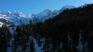 piz bernina en Suiza en soleado invierno día. suizo Alpes. aéreo vista. zumbido moscas adelante y hacia arriba. video