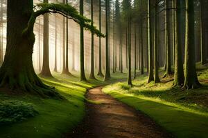 a path through a forest with trees and sunbeams. AI-Generated photo