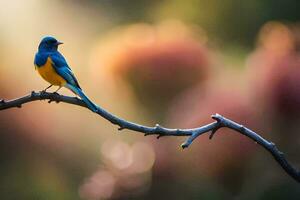 a blue and yellow bird sits on a branch. AI-Generated photo
