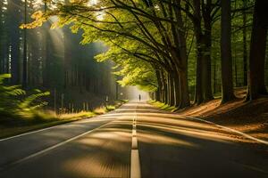 a road in the forest with sunbeams shining through the trees. AI-Generated photo