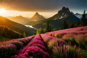 el Dom conjuntos terminado un campo de rosado flores generado por ai foto