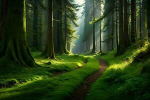 a path through a forest with tall trees. AI-Generated photo