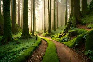 a path through a forest with mossy trees. AI-Generated photo