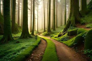 un camino mediante un bosque con cubierto de musgo arboles generado por ai foto