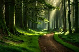 a path through a green forest with sunlight shining down. AI-Generated photo