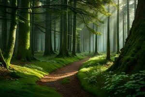 a path through a forest with trees and grass. AI-Generated photo