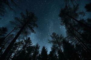 night sky in forest, view of star on night sky through tree brunches. AI Generative photo