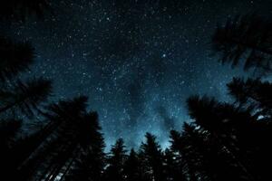 night sky in forest, view of star on night sky through tree brunches. AI Generative photo