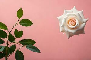 un blanco Rosa es en un rosado antecedentes. generado por ai foto