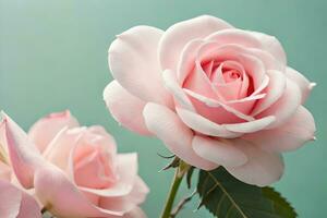 two pink roses are shown in front of a green background. AI-Generated photo