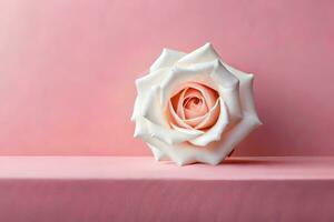 a white rose sitting on a pink background. AI-Generated photo