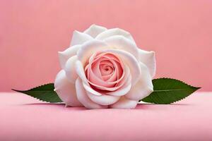 a single rose on a pink background. AI-Generated photo