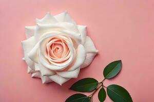 a single rose on a pink background. AI-Generated photo