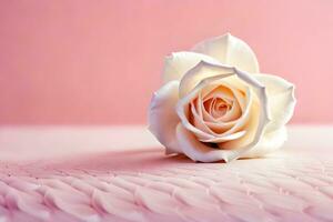 a single white rose on a pink background. AI-Generated photo