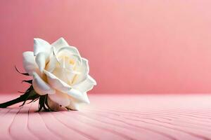 white rose on pink background. AI-Generated photo