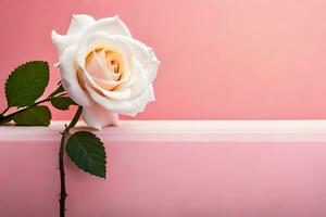 white rose on pink background. AI-Generated photo