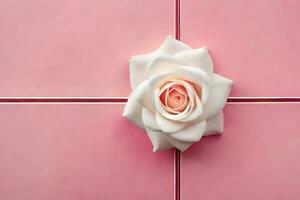 a white rose on a pink background. AI-Generated photo