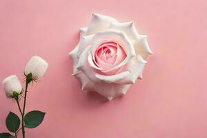 a rose and white rose on a pink background. AI-Generated photo