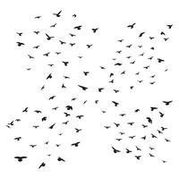 Sketch drawing of a silhouette of a flock of birds flying forward. Takeoff, flying, flight, flutter, hover, soaring, landing vector