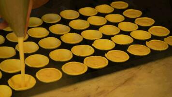 pastelaria chefe de cozinha derramando ovo creme creme dentro pastel de nata tortas. Português tradicional ovo creme azedo pastelaria. tortas dentro uma padaria video