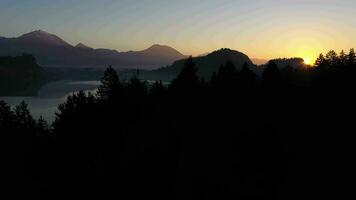 Bled Lake and Marijinega Vnebovzetja Church at Sunrise. Golden Hour. Hills and Forest. Julian Alps. Slovenia, Europe. Reflection in Lake. Aerial View. Drone Flies Forward over Trees at Low Level video