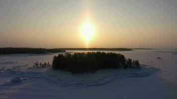 frysta kandalaksha bukt och träd öar på vinter- solig dag. antenn se. murmansk område, Ryssland. Drönare flugor framåt- på låg nivå över träd video