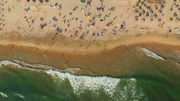 fonte da telha spiaggia e atlantico oceano. folla di le persone. Portogallo. aereo dall'alto al basso alto angolo Visualizza. fuco mosche lateralmente video