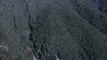 pente de une Montagne couvert avec des arbres dans l'hiver. aérien voir. en orbite video