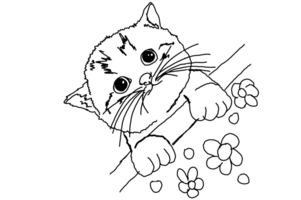 animale - animale domestico - adorabile gatto - gattino - gattino illustrazione png