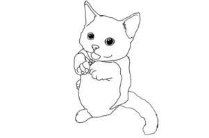 animal - animal de compagnie - adorable chat - chaton - minou illustration png