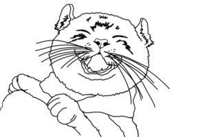 Tier - - Haustier - - bezaubernd Katze - - Kätzchen - - Kitty Illustration png