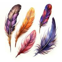 Watercolor multicolored rich bright feathers, dream catcher, isolated feather for different designs. photo