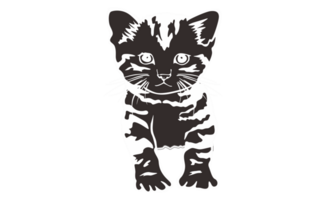 Animal - Pet - Adorable cat illustration with Negative Effect Photo png