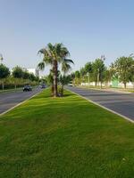 A road surrounded by a lush green trees photo