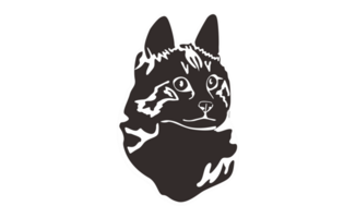 Animal - Pet - Adorable cat illustration with Negative Effect Photo png