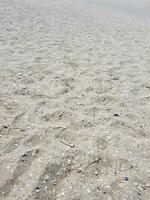 Empty beach sands in summer photo