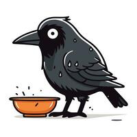 Crow eating food from bowl. Vector illustration of a crow.