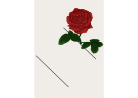 Background with red rose decoration png