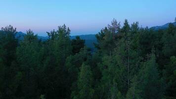Tazi Canyon in Turkey in Morning Twilight. Blue Hour. Aerial View. Drone Flies Forward over Trees. Introduction Shot video