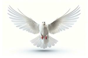 Dove isolated on white background freedom concept life. Generative AI photo