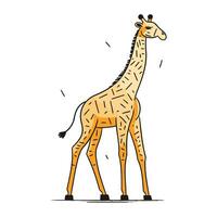 Giraffe. Hand drawn vector illustration isolated on white background.