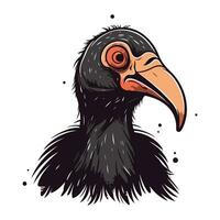 Hornbill head vector illustration in cartoon style on white background.