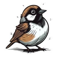 Sparrow bird isolated on white background. Hand drawn vector illustration.
