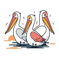 Pelican isolated on white background. Hand drawn vector illustration.