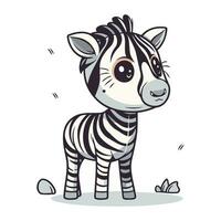 Zebra vector illustration. Cute cartoon zebra for your design