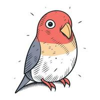 Illustration of a cute red bird on a white background. Vector illustration