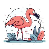 Flamingo drinking water in the park. Flat vector illustration.