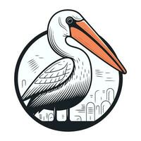 Pelican vector illustration in vintage style isolated on white background.