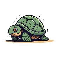 Cartoon turtle. Vector illustration of a tortoise on white background.